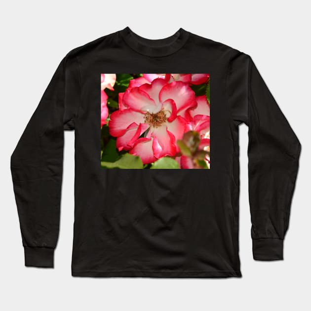 Flower beautiful Long Sleeve T-Shirt by dltphoto